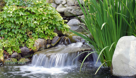 Handley Landscape, Meridian Idaho